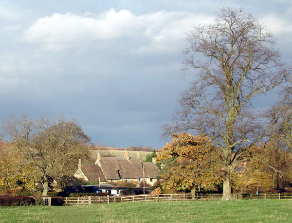 Thatched House