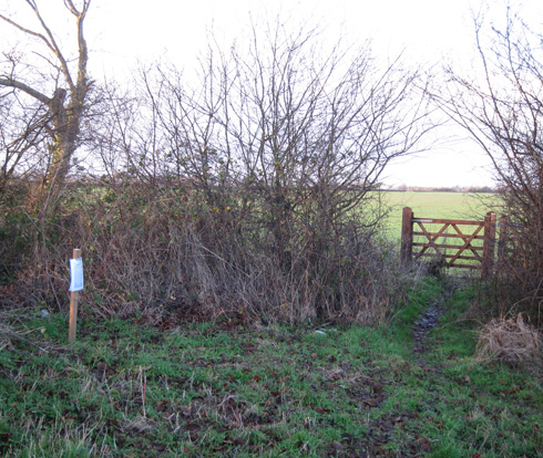 This new gate has recently been erected on the footpath between Sulgrave and Thorpe Mandeville. The notice on the post states that the construction of the high speed railway will require the stopping up or diversion of the footpath!