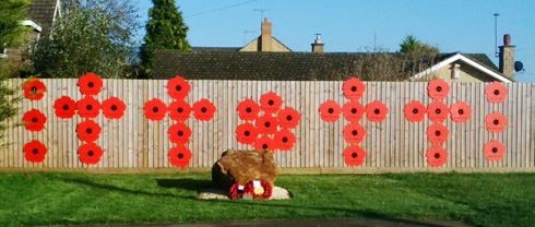 Remembrance Day Poppy Display at Syresham in November 2014. One poppy for each of the fallen.